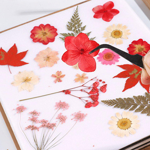 Kit De De Flores, Máquina De Estampado Para 15 Cmx15cm