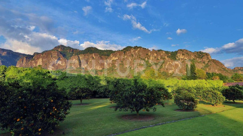 Casa Venta Nueva Una Planta Con Alberca Y Bar, Tepoztlán Morelos