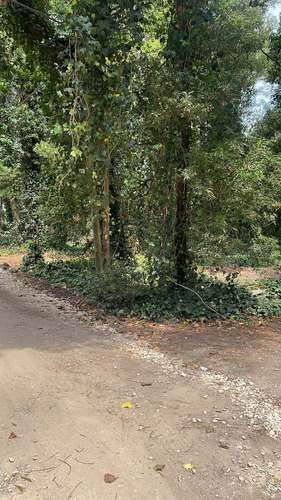 Imagen 11 de 11 de Vendo Lote 750 Mts Bosque P. Ramos Parquizado U$s 55.000.-