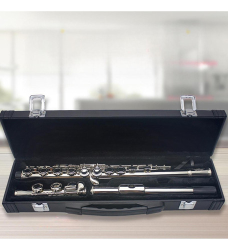 Estuche Para Flauta Estuche Para Flauta Estuche Para Flauta