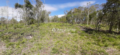 Chácara À Venda, 2.000 M² Por R$ 210.000 - Chácaras Olhos D´água - Campina Grande Do Sul/pr - Ch0060