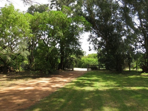 Chacra En Venta Camino Lussich 3 Dormitorios- Ref: 217462
