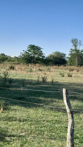 Campo En Venta En 177 Y 35
