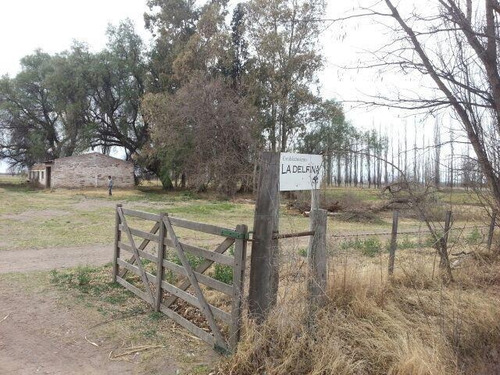 Imagen 19 de 30 de Finca De 62 Ha - General Alvear- Mendoza
