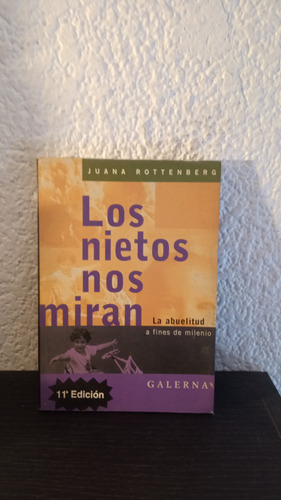 Los Nietos Nos Miran (jr) - Juana Rottenberg