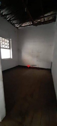 Imagem 21 de 23 de Excelente Terreno Para Alugar, 300 M² Por R$ 8.900/mês - Parque Santa Cecília - São Paulo/sp - Te0101