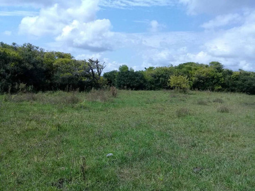Imagen 10 de 19 de Campo En Venta - 101 Hectáreas - Pinamar