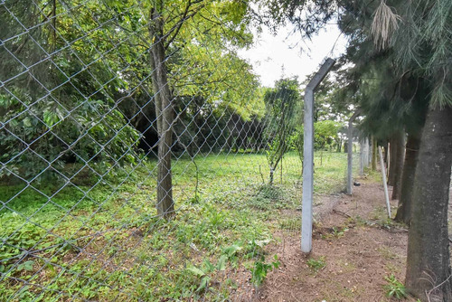 Alquiler O Venta Galpon 3000m2 Cañuelas A Estrenar