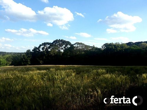 Imagem 5 de 9 de Chacara - Tiete - Ref: 741 - V-741