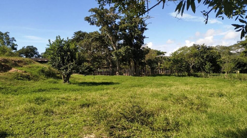 Imagen 11 de 14 de 165595 Katherine Castillo 0412-8567234 Venta Finca Carretera Aguirre