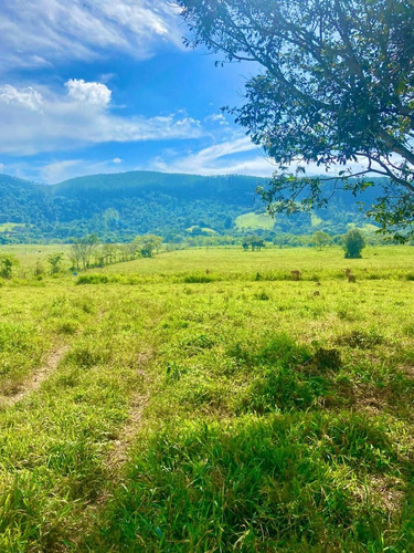 Imagem 10 de 13 de W35 Terreno 1000m Financiamos Direto Com Voce Leia Descrição