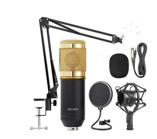 Microfone Estúdio Bm800 + Aranha + Braço + Pop Filter