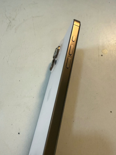 Appie Iphone 16 Pro Max Titanio Del Desierto-256gb-pila 100% Dorado Claro (Reacondicionado)
