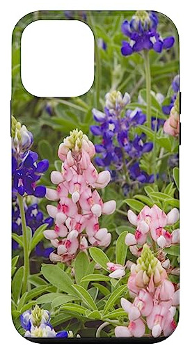 Funda Para iPhone 12 Mini Texas Rosa-02