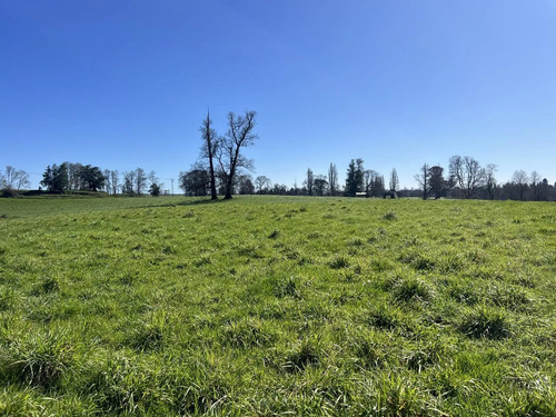 Parcela A Solo 5 Minutos De Osorno