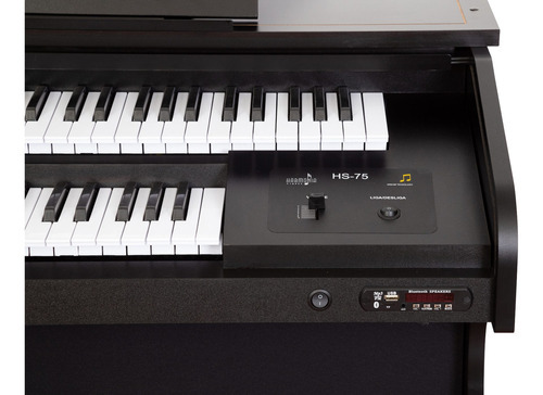 Orgao Eletronico Harmonia Hs75 Preto Brilho