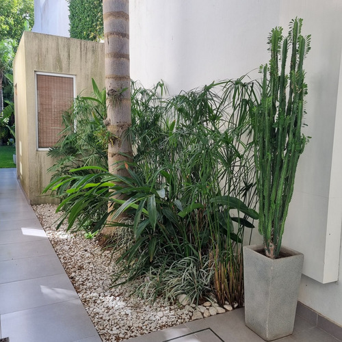 Diseño De Interiores Y Espacios Verdes