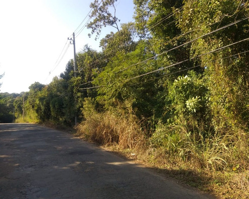 Imagem 6 de 7 de Terreno - Te00409 - 1516700