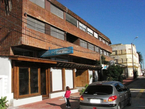 Local En Zona Puerto