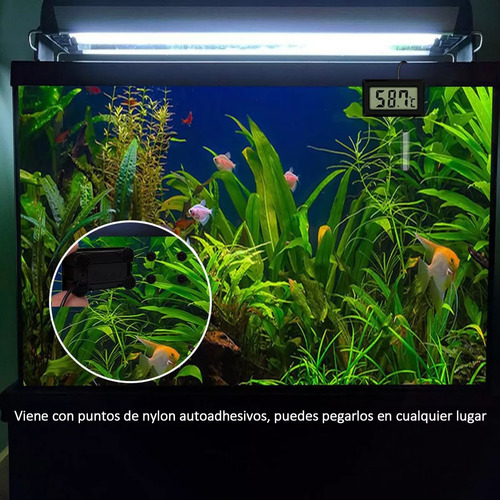 Pack 5 Termómetro Digital Con Sonda -50- 110 °c + Baterias