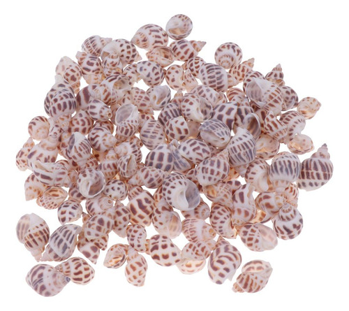 De Playa Mixtas Mar Artesanías Marinas Acuario # 2 500g