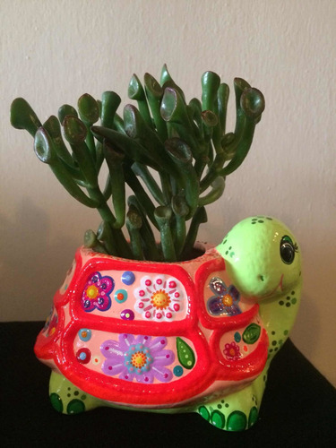 Maceta Tortuga Animalitos Cactus Suculentas Decoración