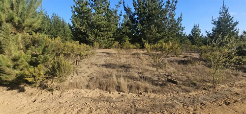 Parcela En Venta En Pichilemu