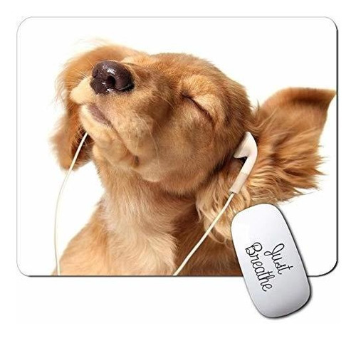 Cocker Spaniel Puppy Dog Escuchando Música Divertidos Animal