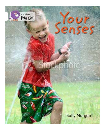 Senses,your - Band 10 - Big Cat Kel Ediciones