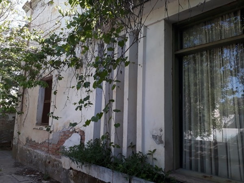 Vendo Bodega Con Viñedos Y Elaboración Propia