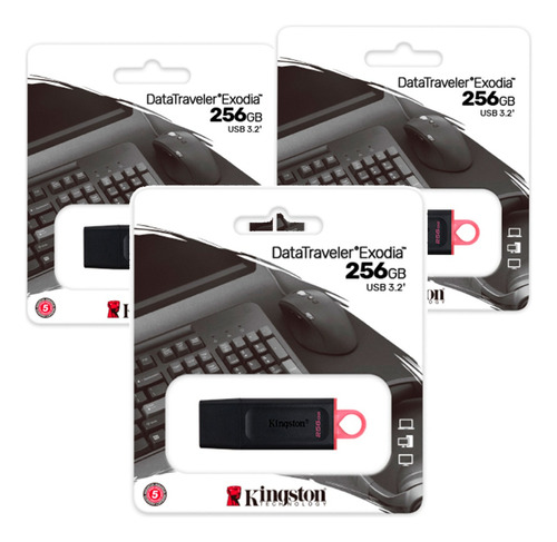 Kit 3 Memoria Usb 256gb Kingston Datatraveler Exodia 3.1 Color Negro Liso