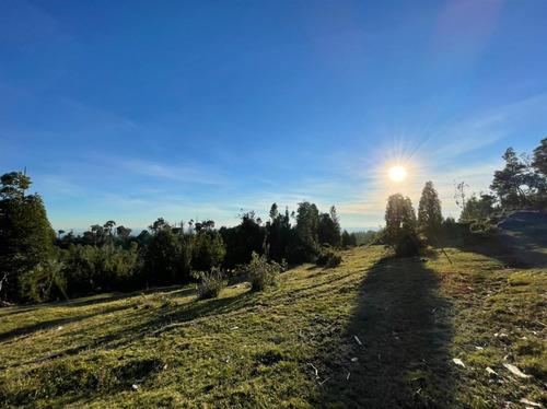 Parcela En Venta En Puerto Varas