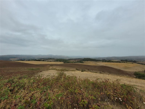 Imagen 9 de 13 de Agrícola En Venta En Galvarino