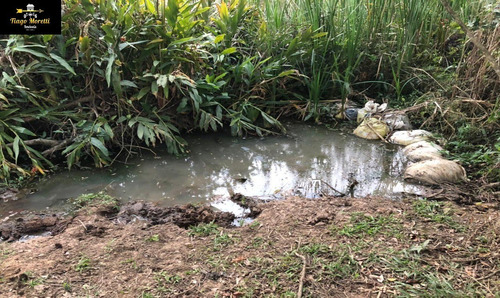 Imagem 20 de 21 de Excelente Chácara À Venda No Bairro Jerivá Boituva-sp - Ch00156 - 69834640