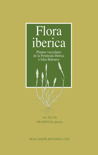 FLORA IBERICA. VOL. XIX (II), GRAMINEAE (PARTIM), de VV AA. Editorial Consejo Superior de Investigaciones Cientificas, tapa dura en español