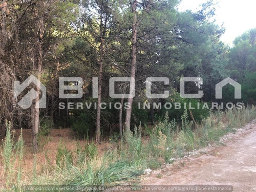 Imagen 1 de 6 de Terreno En Venta En El Pinar