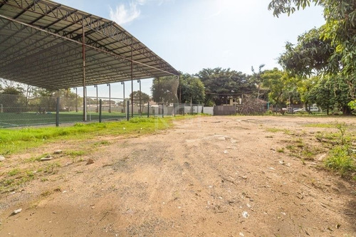 Terreno - Cavalhada - Ref: 561826 - L-ca4875