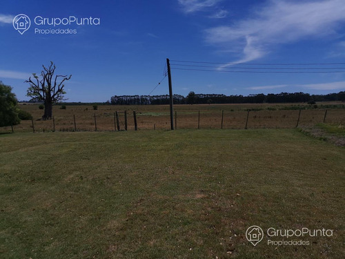 Imagen 18 de 30 de Chacra De 5 Hectáreas En Jose Ignacio Prop5000