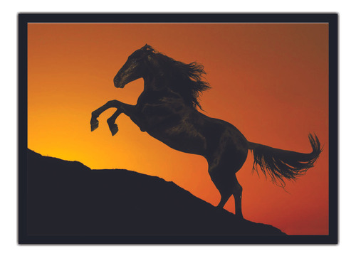 Quadro Decorativo Animais Cavalo Salas Interiores G01