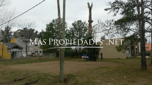Lote Interno Bosque De San Vicente