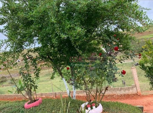 Imagem 11 de 11 de Chácara Com 2 Dormitórios À Venda, 1000 M² Por R$ 220.000,00 - São Luis - São Luís Do Paraitinga/sp - Ch0605