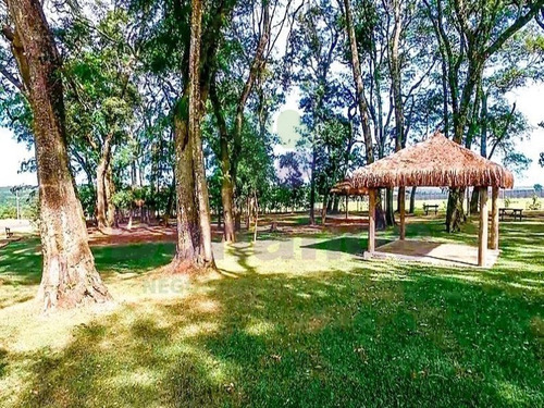 Imagem 18 de 28 de Terreno Industrial, W Park Condomínio Industrial, Mongi Mirim - Te08616 - 34837415