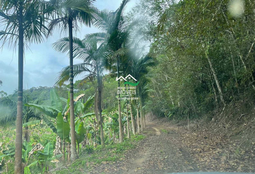 Imagem 24 de 30 de Chácara Com 2 Dorms, Area Rural, Itariri - R$ 239 Mil, Cod: 518 - V518