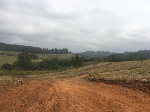 Imagem 12 de 14 de 3-terrenos Em Santa Isabel !