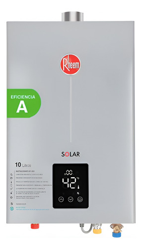 Calefont 10 Litros Tiro Forzado Gas Natural - Rheem