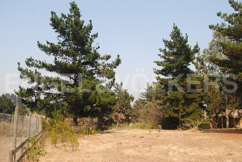 Terreno En Algarrobo