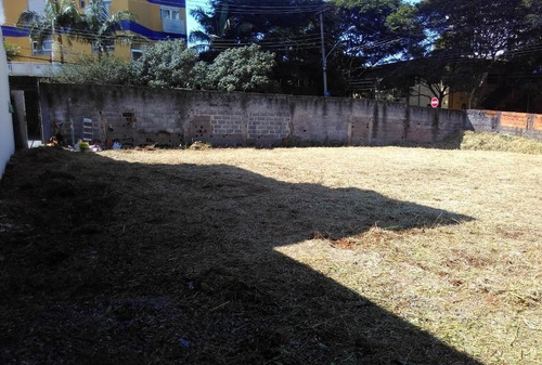 Imagem 4 de 9 de Terreno À Venda, Jardim Avelino, Com 551m² De Área , Plano, Pronto Para Construir, Esquina - Sp - Te0206_prst