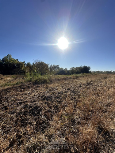 Parcela En Venta En Pelarco