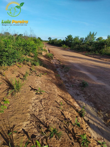 Imagem 4 de 5 de Fazenda À Venda Em Barra Do Ouro - To - 1404 Hectares (dupla Aptidão) - 1865