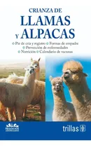 Comprar Actividades Didácticas Preescolar Guía Editorial Trillas